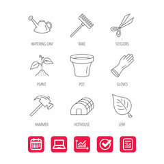 Sprout plant, scissors and pot icons. Gloves, rake and watering can linear signs. Hothouse, leaf and hammer flat line icons. Report document, Graph chart and Calendar signs. Laptop and Check web icons