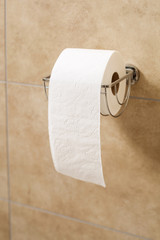 Toilet paper roll in holder