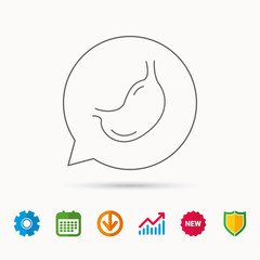 Fototapeta premium Stomach icon. Gastroscopy health sign. Anatomical body organ symbol. Calendar, Graph chart and Cogwheel signs. Download and Shield web icons. Vector