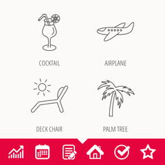 Airplane, deck chair and cocktail icons. Palm tree linear sign. Edit document, Calendar and Graph chart signs. Star, Check and House web icons. Vector