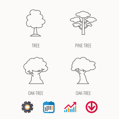 Pine tree, oak-tree icons. Forest trees linear sign. Calendar, Graph chart and Cogwheel signs. Download colored web icon. Vector