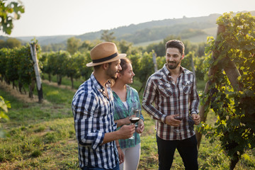 Wine grower and people in vineyard