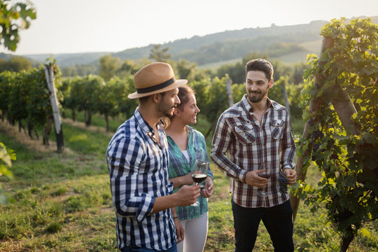 Wine Grower And People In Vineyard