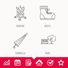 Bonfire, umbrella and hiking boots icons. Park linear sign. Edit document, Calendar and Graph chart signs. Star, Check and House web icons. Vector