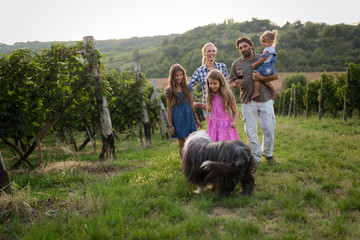 Obraz premium Happy family enjoys walk in vineyard