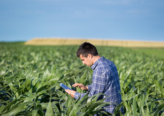 Farmer with tablet in corn field © Budimir Jevtic