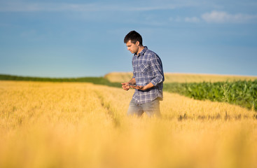 Naklejka na ściany i meble Farmer with tablet in wheat field