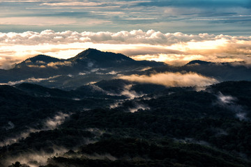 Light morning with fog floating on the mountain and sky is a beautiful view. And is a popular tourist destination of the photographer to capture nature. The Doi Inthanon Chiang Mai, Thailand.