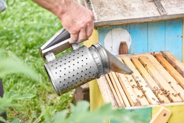 Cropped shot of a beekeeper using bee smoker while working in his apiary in the garden copyspace professional tool equipment technology honey producing organic natural concept.