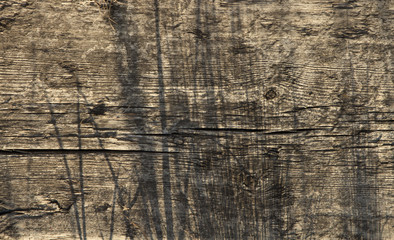 Fototapeta premium Old board. Wood texture.