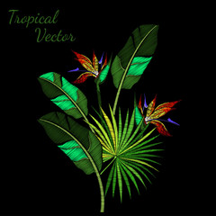 Embroidery Tropical Vector