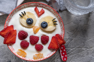Kids funny breakfast yogurt with fruits and berries look like cute owl