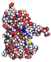 Structure of human interferon-2a (Roferon-A), space-filling model. Interferons are proteins released by cells in presence of pathogens, often used in cancer and antiviral therapy.