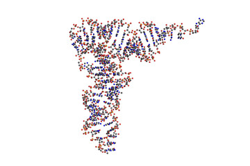 transfer RNA (tRNA), ball-and-stick model