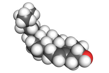 Cholesterol molecule, space-filling model