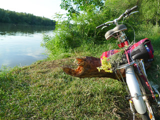 A bike ride  on a wild meadow by a river. Healthy lifestyle. Parked bicycle with a beautiful bouquet of flowers golden ewerlasting (Helichrysum arenarium, paper daisie, strawflower, immortelle)