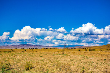 Fototapeta na wymiar Desert landscape. Blue sky with white clouds. Summer steppe landscape. Hot desert with mountains view.