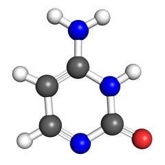 Obraz premium Cytosine molecule, ball and stick model