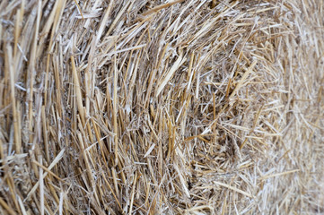 bundle of beveled straw close up texture