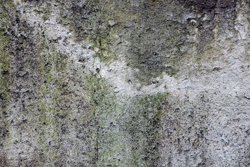 серо зелёный грязный фон из части фундамента бетонной стены здания 
