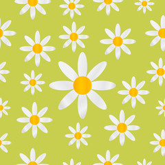 Chamomiles seamless pattern background.