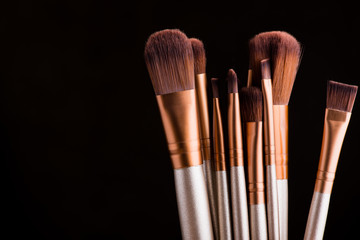 cosmetic brush for beauty makeup