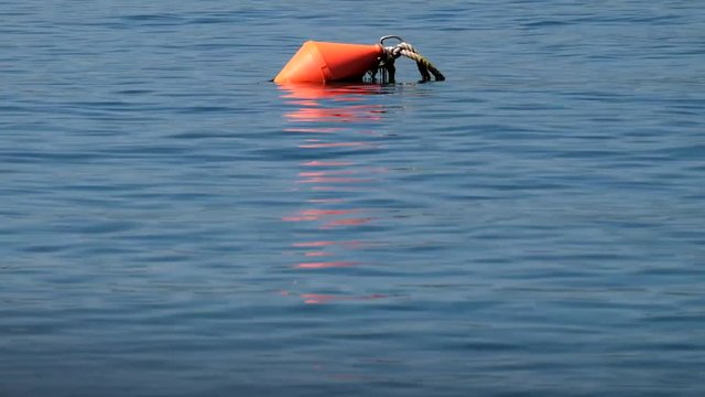 Boje, buoy