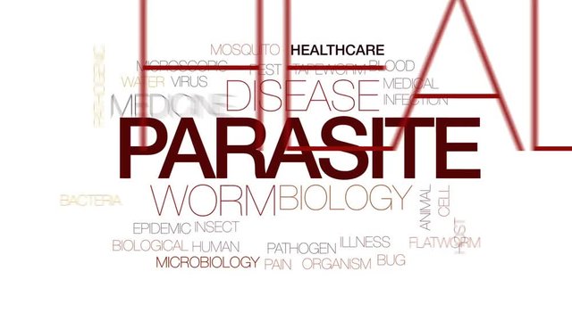 Parasite animated word cloud, text design animation. Kinetic typography.
