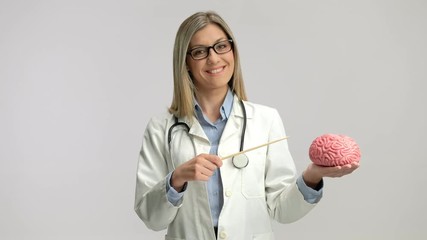 Female doctor pointing at a brain model with a stick - Powered by Adobe
