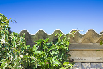 Dangerous asbestos roof detail against a blue sky