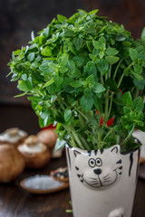 Bazil leaves on kitchen