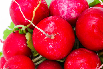 Ein Bund frischer Radieschen