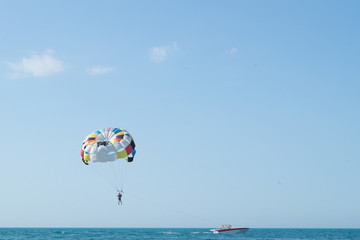 Parasailing is above the sea. Focus on a parachute. Space for text.