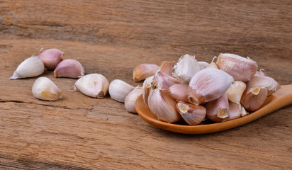 garlic on wood background