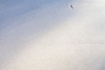 Fondo de arena de playa