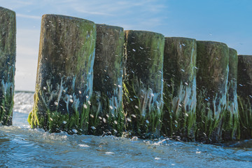 Wellenbrecher