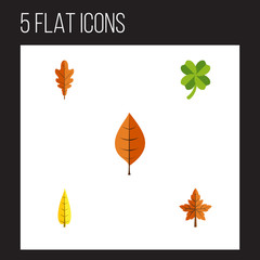 Fototapeta na wymiar Flat Icon Leaf Set Of Foliage, Alder, Linden And Other Vector Objects. Also Includes Leafage, Foliage, Leaf Elements.