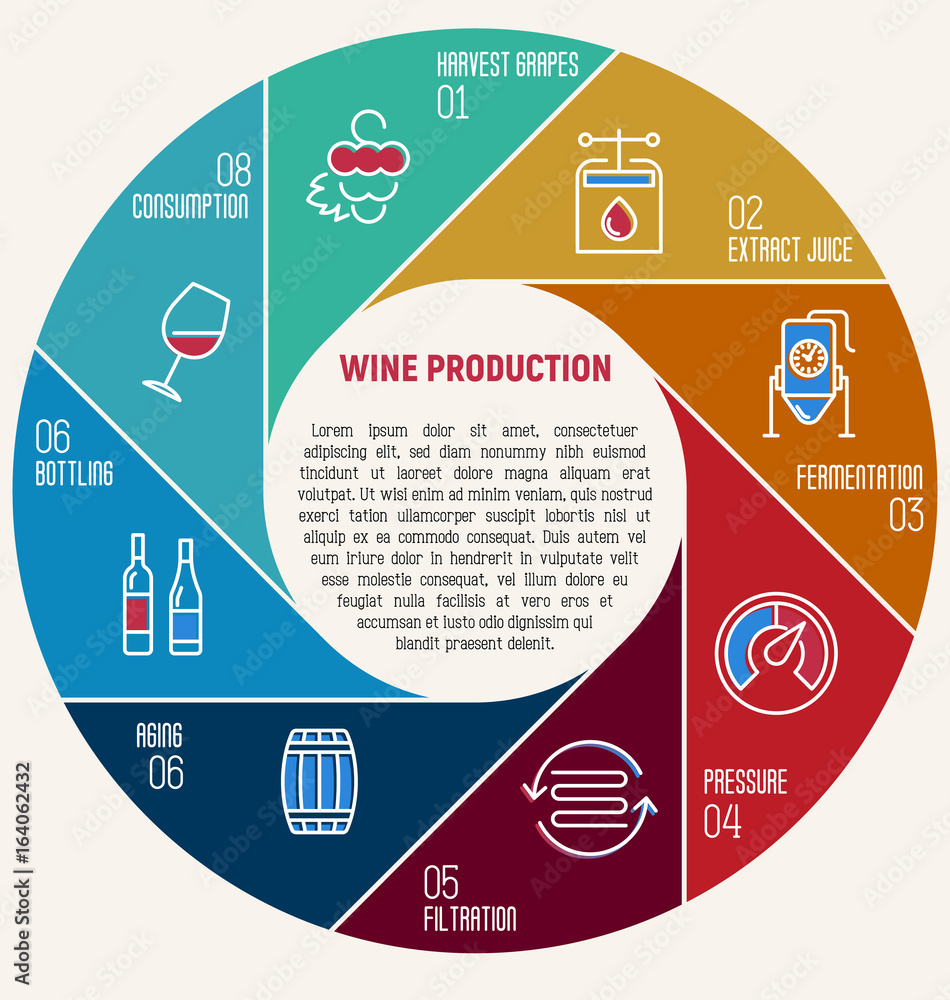 Poster thin line infographic of wine fermentation. circle diagram with eight equal parts that shows how win
