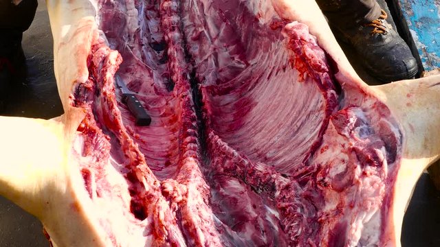 The butcher uses the ax to separate the pig's ribs from the spine. The blade of a dangerous cold weapon hits the target exactly.
