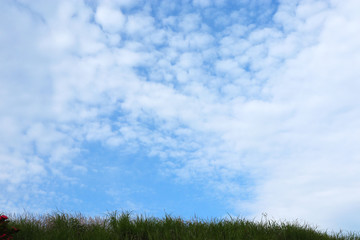 丘の下から見る空