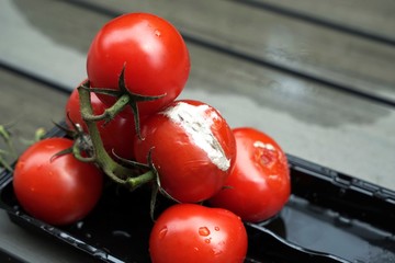 .......Tomaten, Nahrung, verdorben, Schimmel