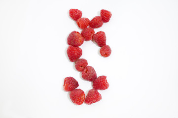 Alphabetical letter Š made of raspberries on a white background