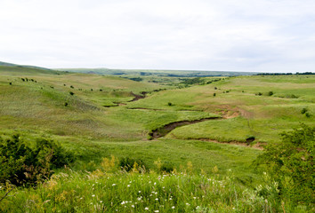 Fototapeta na wymiar Steppe landscape