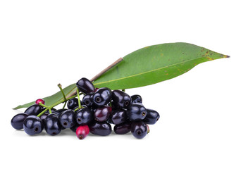 Jambolan plum on white background