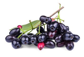Jambolan plum on white background