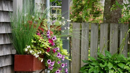 Beautiful wall box flowers