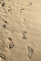 Fototapeta na wymiar summer vacation walk on beach and footprints 