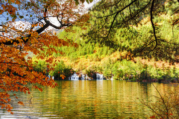 Lake with crystal clear water among foliage of trees in autumn