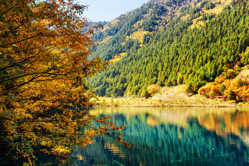 Beautiful lake among colorful fall woods and mountains