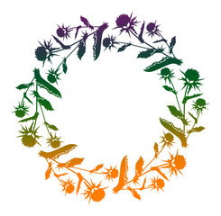 Decorative gradient frame with thistle silhouette. Raster clip art.